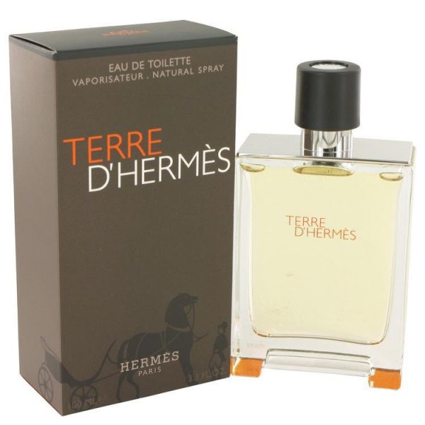 Hermes Terre D'Hermes Eau De Toilette perfume for men